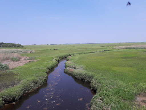 Great Marshes