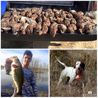 Dry Creek Ranch- Quail Hunting, Pheasant Hunting, Chukar Hunting And Red Stag Hunting In Louisiana