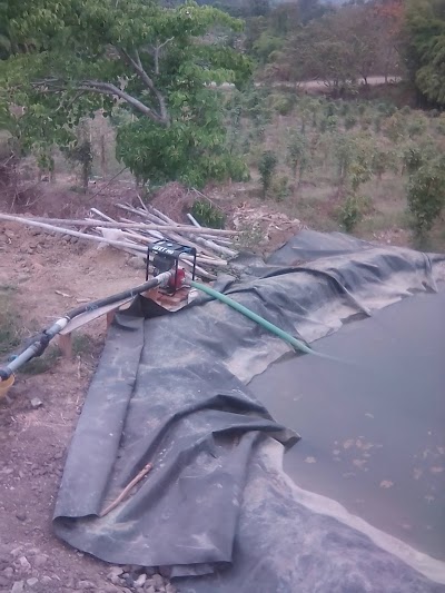 Photos of sembriexport