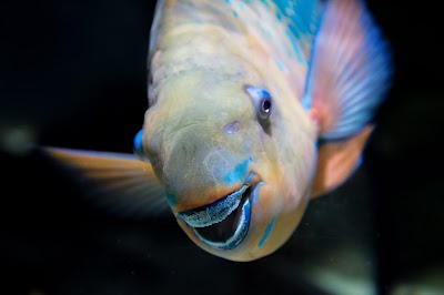 Oregon Coast Aquarium