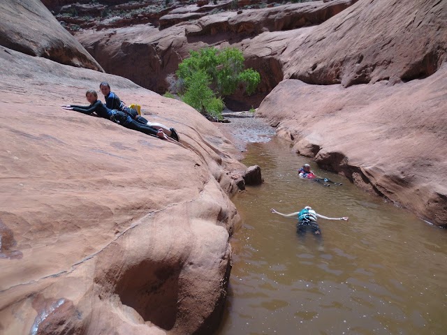Golden Cathedral, Neon Canyon