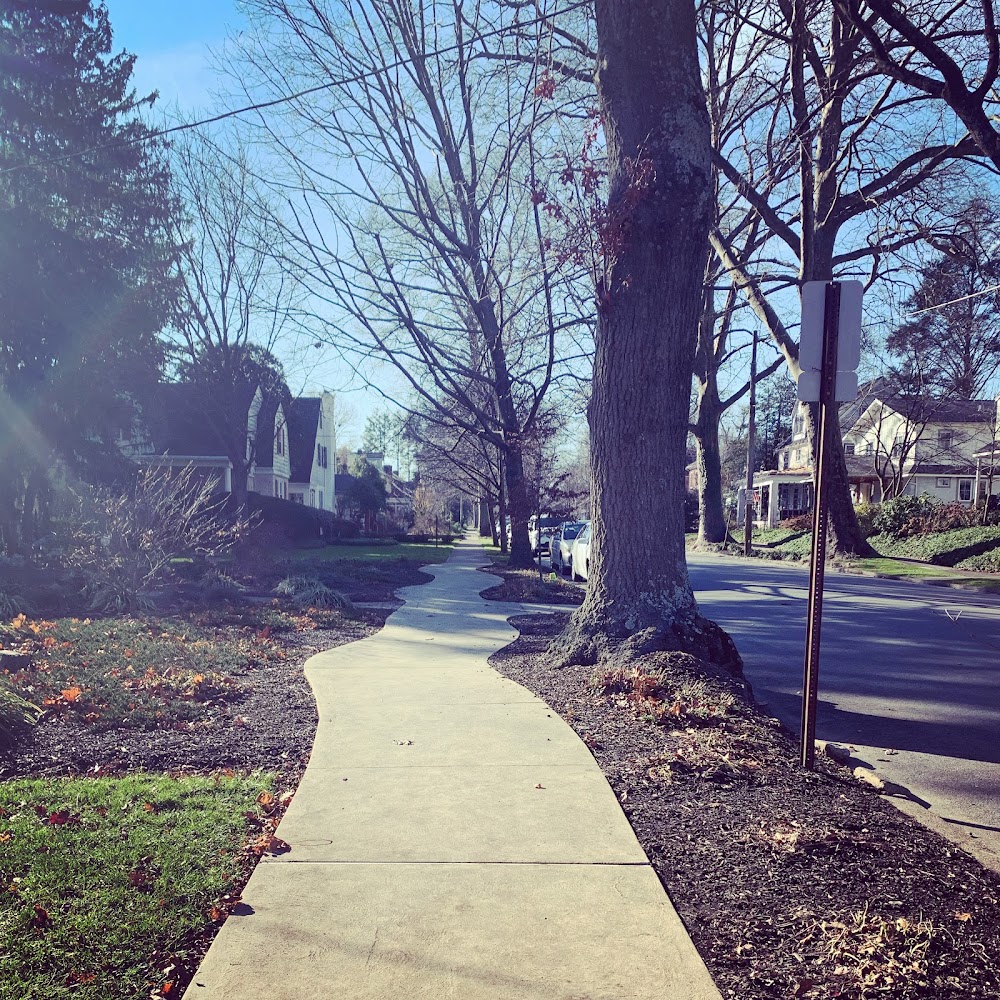 Brandywine Urban Forest – photo 2 of 3