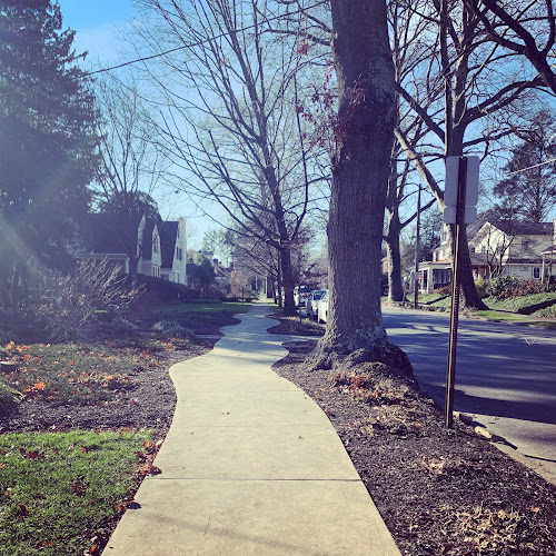 Brandywine Urban Forest