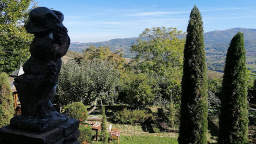 Quasi Orto - Visual