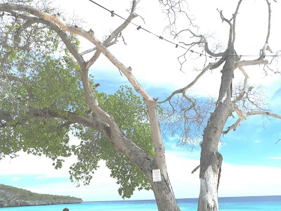 Photos of Cas Abao Beach