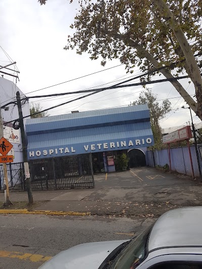 Photos of Vets El Bosque