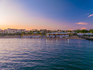 Photo n°71 de Chiringuito vias plage à Vias (Restaurant méditerranéen)