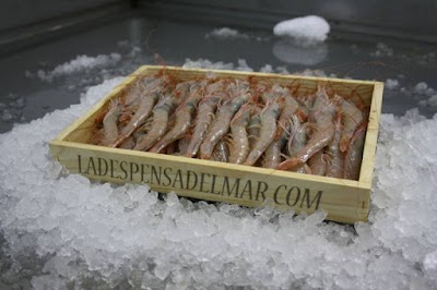 Photos of Restaurante Delicias 28