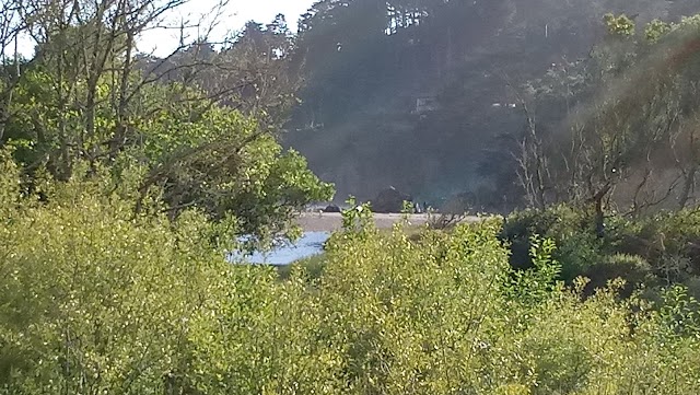 Muir Beach