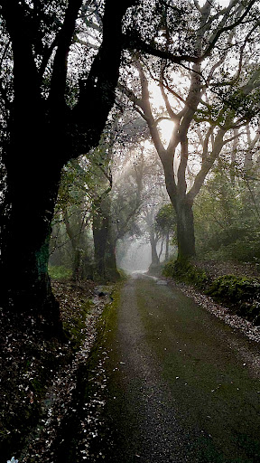 Arrigorriaga - Thumbnail