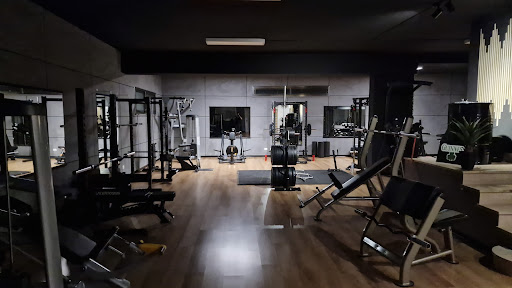 Élite Academy Studio Gallery - Italy
