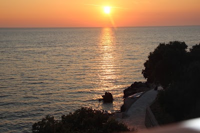 Photos of Pansion Vongola