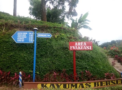 Photos of PTP Nusantara XII