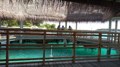 Photos of Bandos Island Resort & Spa