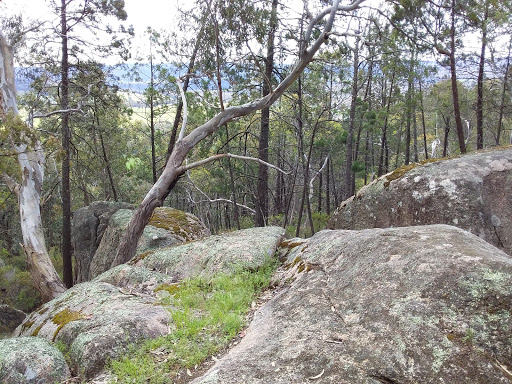 Ingram's Rock - Visual