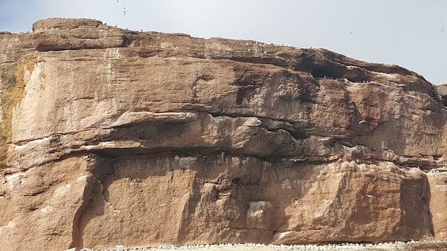 Parc national de l'Île-Bonaventure-et-du-Rocher-Percé