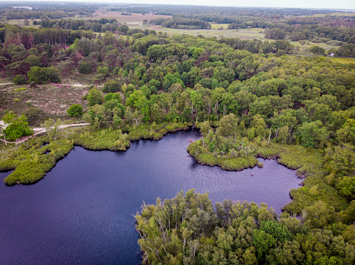 De mooiste boom van Zeegse in Drenthe - Thumbnail
