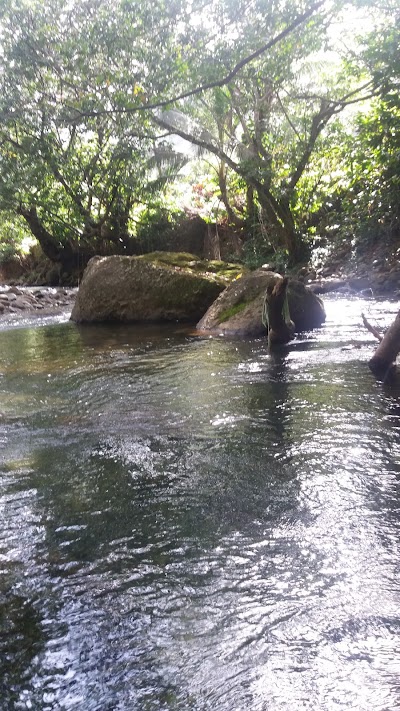 Photos of Serenity Lodges Dominica