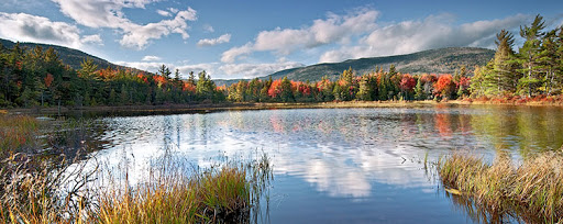 Dover Oral and Maxillofacial Surgery