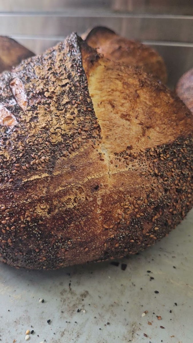 Brooklyn Bagel — photo 7