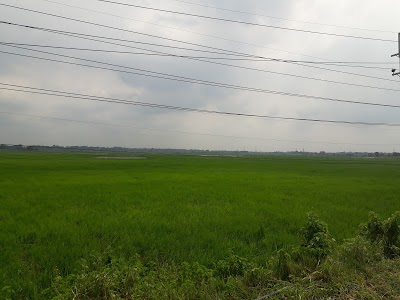Photos of গোয়ালখালি সার্বজনীন দুর্গা মন্দির