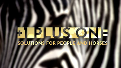 Plus One - Visual
