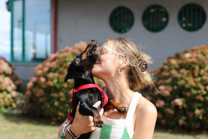 La Pandilla de Shayla Fotografía