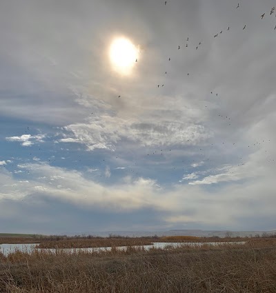 Roswell Marsh Wildlife Habitat Area