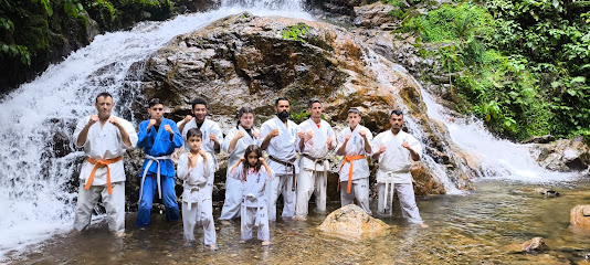 Karatê Kyokushin Joinville