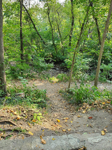 Gunnar Anderson Forest Preserve - Thumbnail