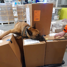 Photo n°4 de Formations des Torrières à Neufchâteau (Centre de formation)