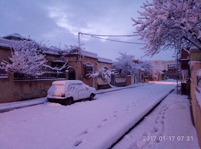 Photos of حليب ولبن ومواد غذائية عامة