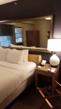 The Partridge Inn Augusta, Curio Collection by Hilton by null