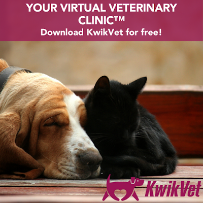 KwikVet - 24 hour veterinarians