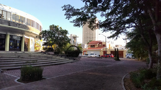 pajilla Park Gallery - Mexico