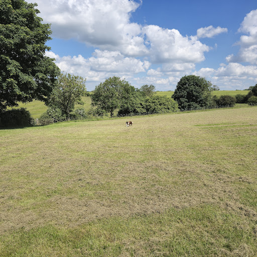 Cherry Tree Farm Campsite - Thumbnail