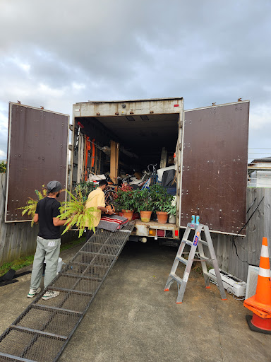 Auckland Kiwi movers - Thumbnail