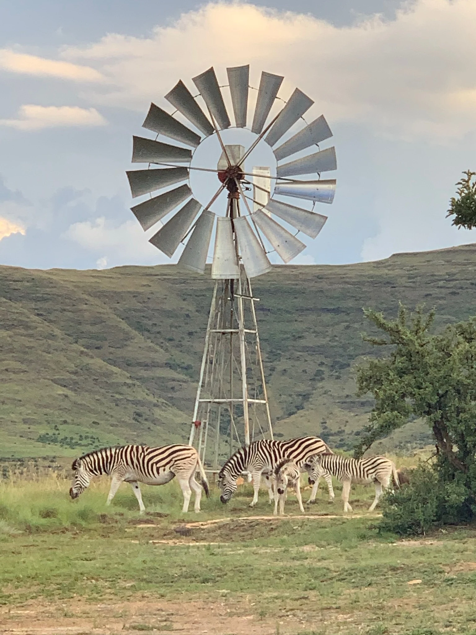 De Ark Mountain Lodge, Clarens, South Africa