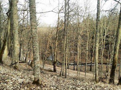 Photos of Biksēres muižas parks