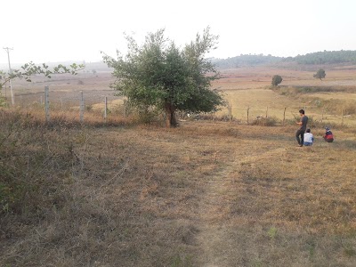 Photos of Aung Min Oo 1