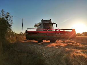 Photo n°15 de Bailly-Starv à La Meilleraie-Tillay (Travaux généraux)