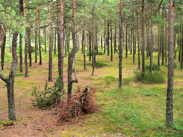 Haverdals Golfklubb