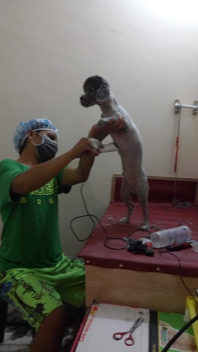 Photos of Mondy's Pet Shop