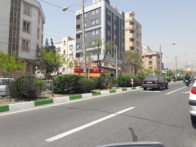 Photos of Padideh Talaei