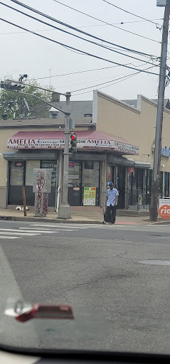 Amelia 501 Food Market Inc
