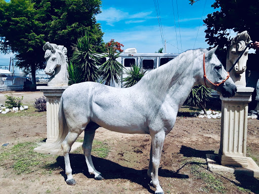 Hacienda Boquita