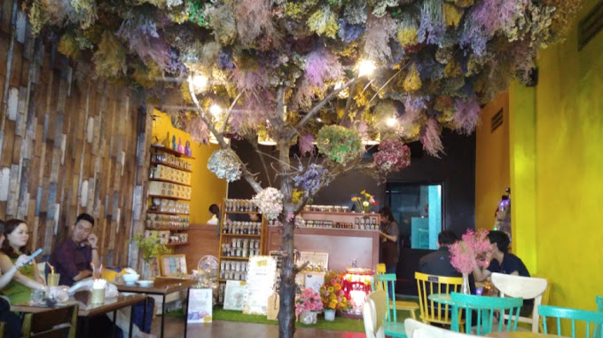 Trà Hoa 1893 Đà Lạt – Sóc Trăng