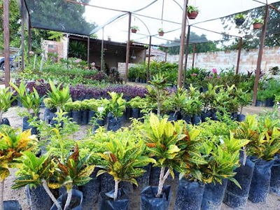 Photos of Lidel Paisagismo