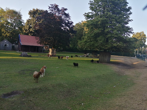 Jaap Hiddinkpark - Thumbnail