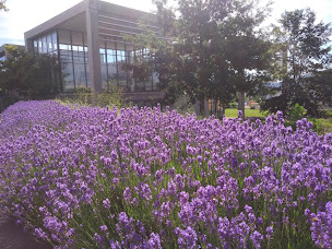 Photo n°2 de Bibliothèque universitaire Santé à Besançon (Bibliothèque universitaire)